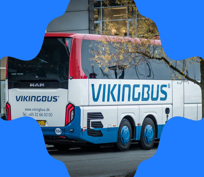 Vikingbus med blåt organisk grafik mønster i alle fire kanter.