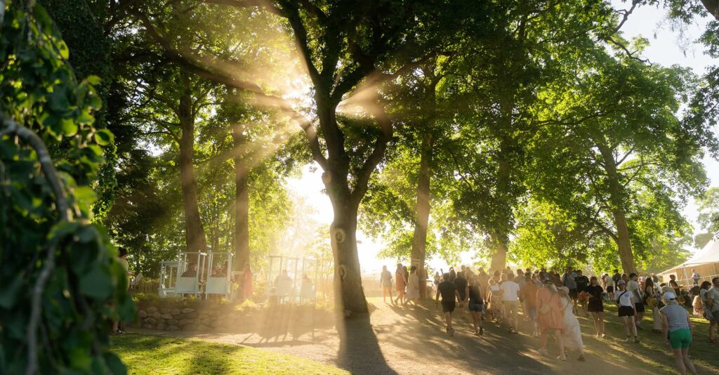 Festivalgæster vandrer ad en sti under store grønne træer mens solens stråler bryder gennem løvet en varm sommeraften ved Heartland Festival.